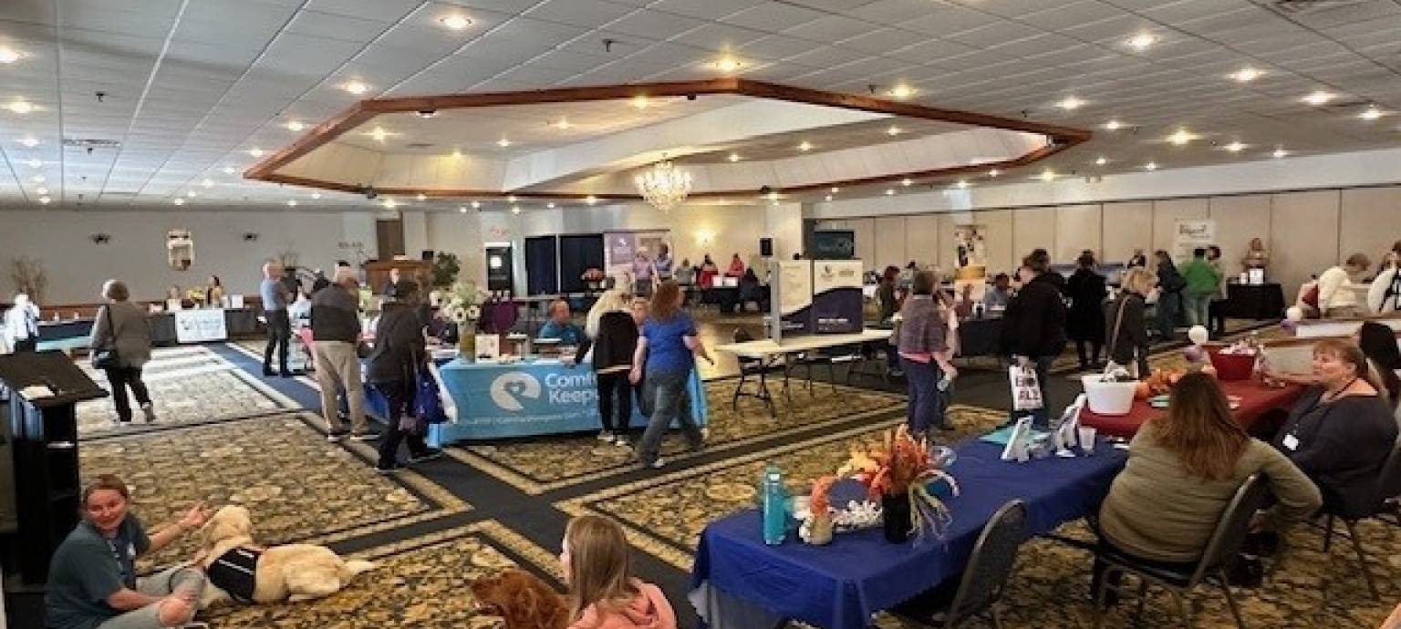 younger hands holding elderly hands 